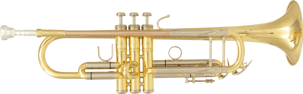 TP500 - Sib Vernie