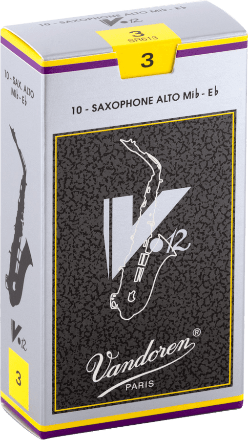 V12 3 - Saxophone Alto