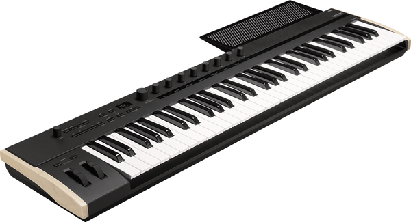 Korg Keystage 61