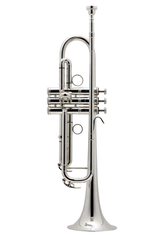 New Standard Sib Argentée - BE111-2-0