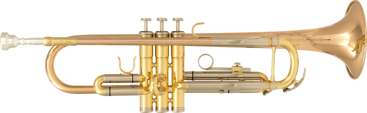 TP600 - Sib Vernie