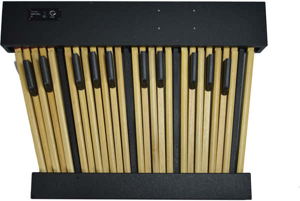 Viscount Pedaliera 25 LEGEND Organo