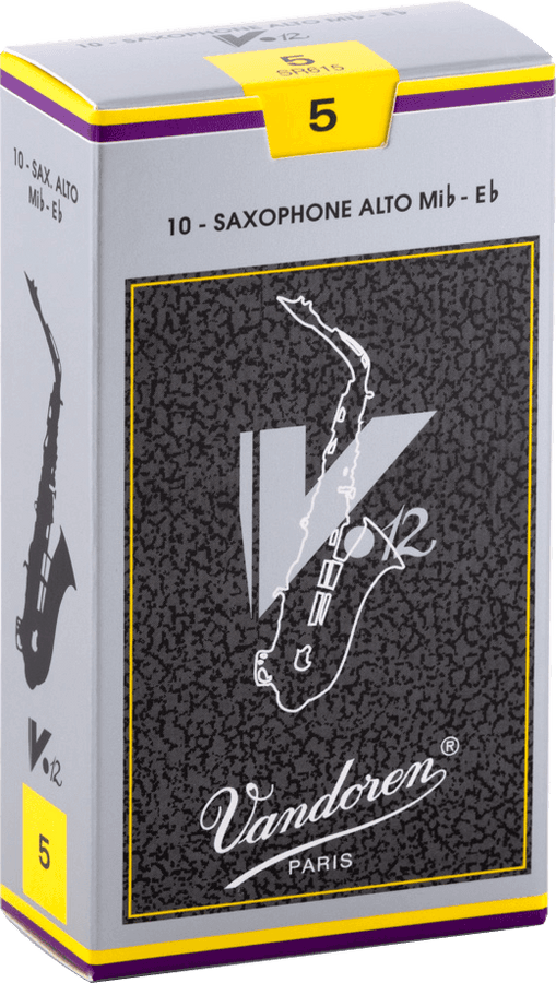 V12 5 - Saxophone Alto