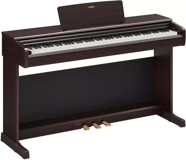 YDP-146 Rosewood