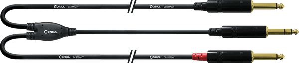Câble Audio Jack Stéréo - 2 Jack Mono Longs 3 M