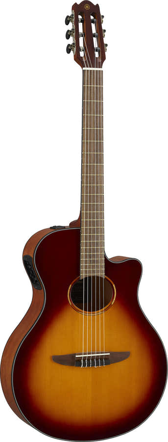 Ntx1 Sunburst marrone