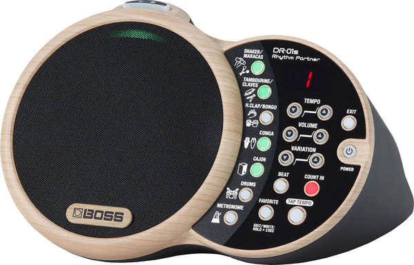 Boss DR-01S RHYTHM PARTNER