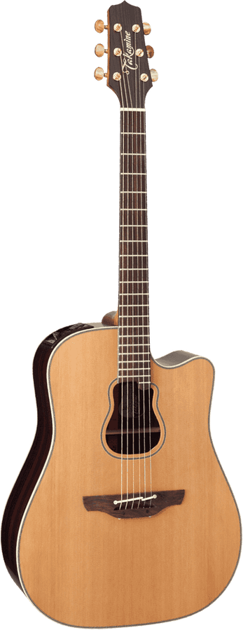 Japon Signature Garth Brooks Dreadnought Electro
