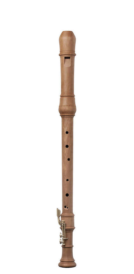 Superio Ténor Poirier 251