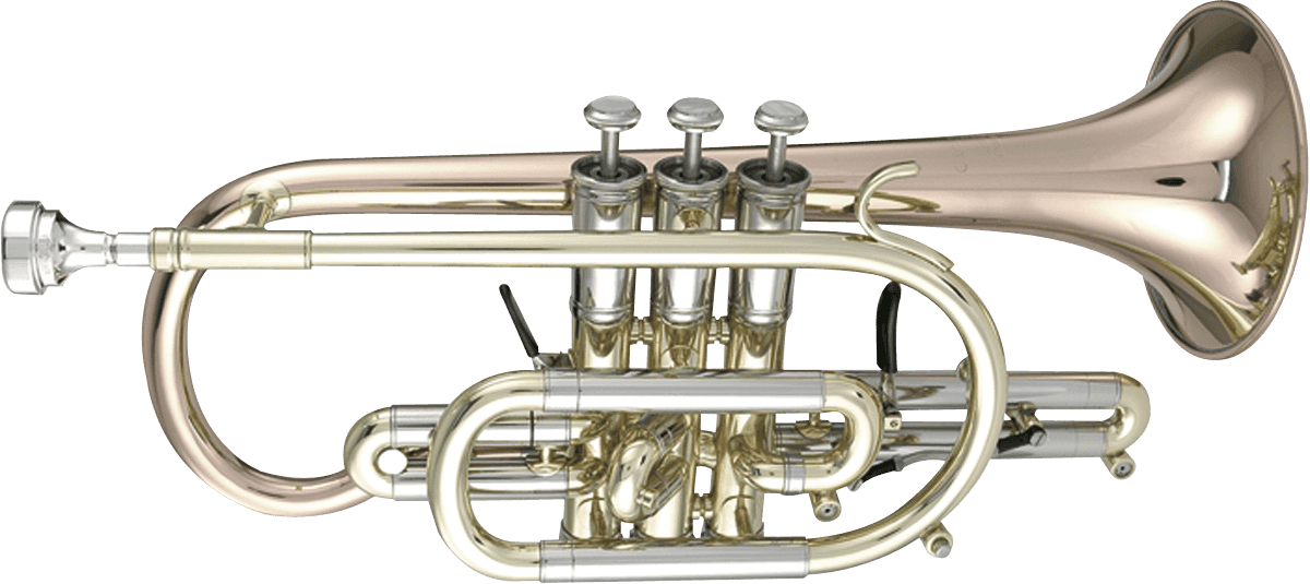Custom 3850 Pavillon Cuivre Rose