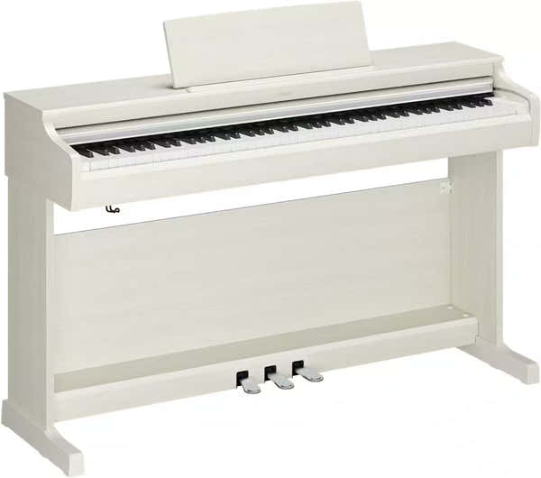 YDP-166 White Birch