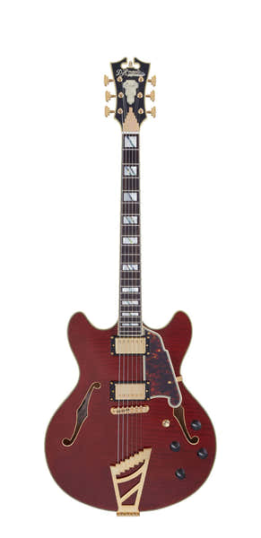 D'Angelico Excel DC Violett