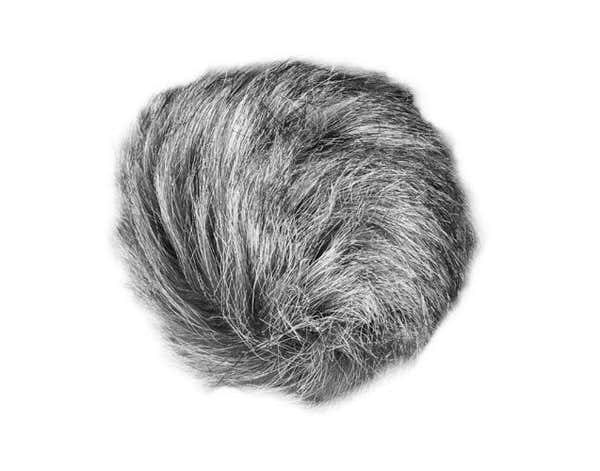 Zoom WSU-1
