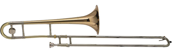 Gewa Vision TB236 Sib Verni