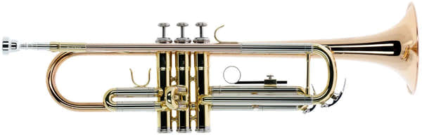 Woodbrass WTP400 - Si b Verni (pavillon Cuivre Rose)