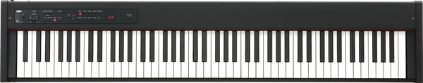 D1 Schwarz