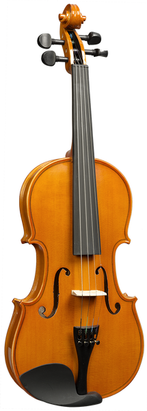 1/16 VIOLON TOUT MASSIF AS1116