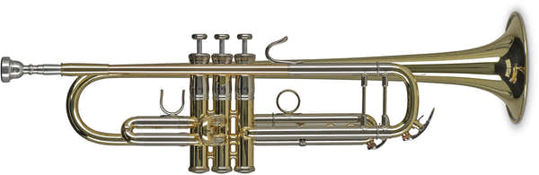 Vision TR372 Sib Laccato