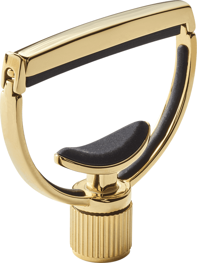 Heritage Gitarre Style 1 Standard Gold