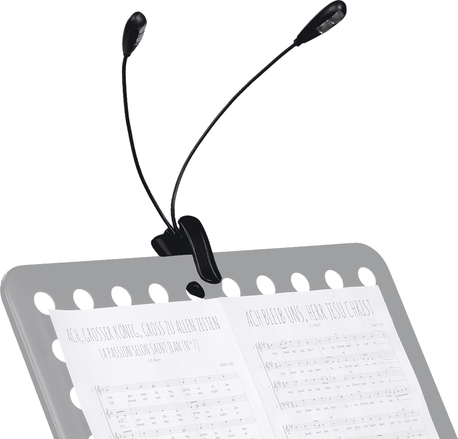2 LAMPS ON FLEXIBLE HOSES TO CLIP ON (4 LEDS)
