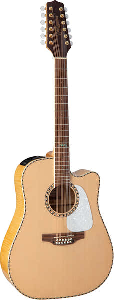Takamine GD74CE-12 Dreadnought Saiten Natur
