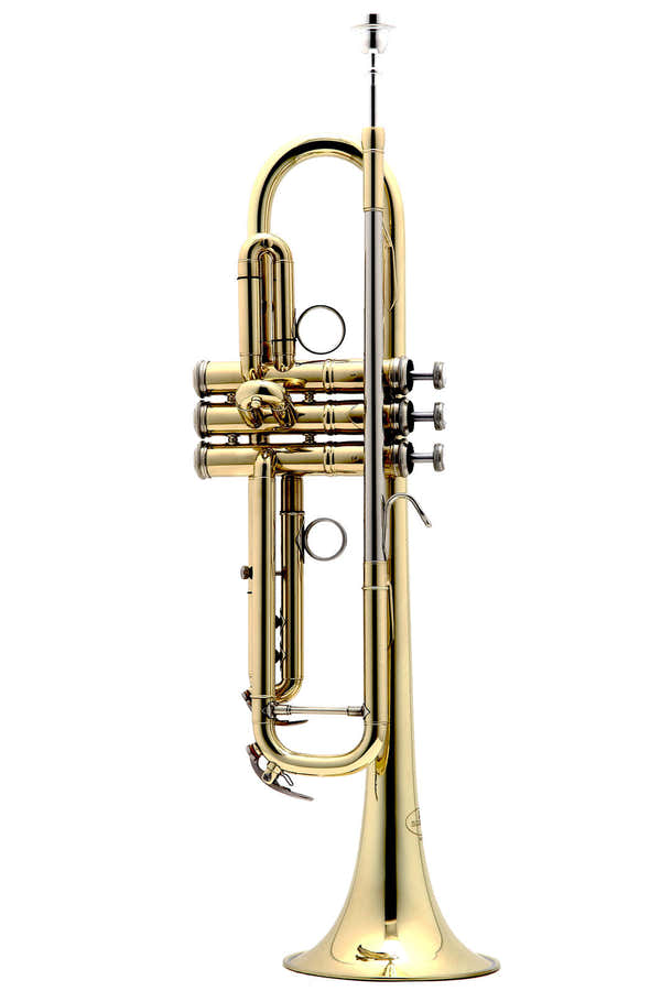 New Standard Sib Vernie - BE111-1-0