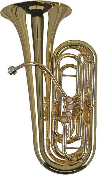Gewa Ambition BB501C Contrebasse Ut Verni
