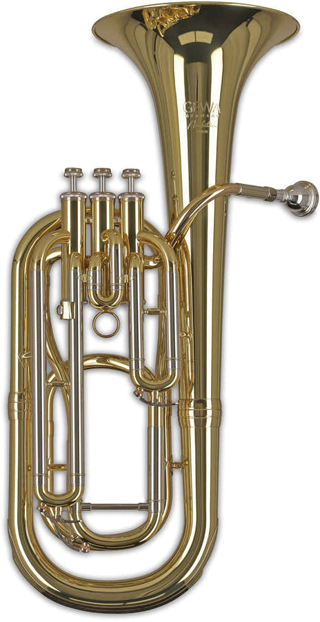 Ambition BH650 Baryton Sib Verni