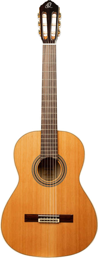 Traditional 4/4 + Pro Gig Bag