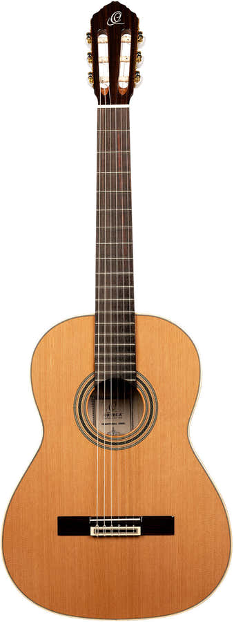 Traditional 4/4 + Pro Gig Bag