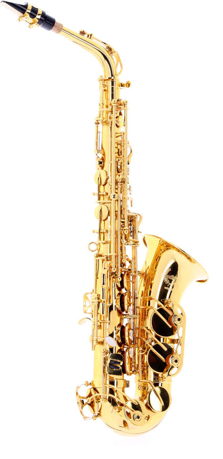 WSA300 - Contralto Mi B Verni