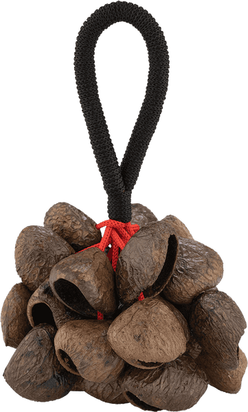Pearl PBPGRH14 Nut Shaker Pangi Avec Poignee