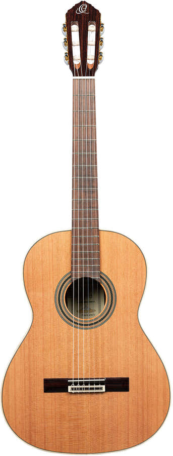 Traditional 4/4 + Pro Gig Bag