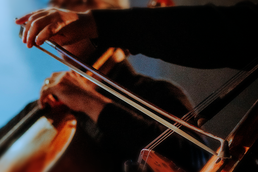 accessori per violoncelli