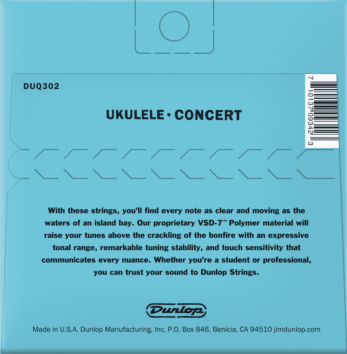 Cordes Folk Ukulélé Jeux Ukulélé Concert