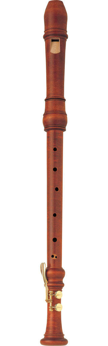 YRT61M Ténor - Érable (Baroque)