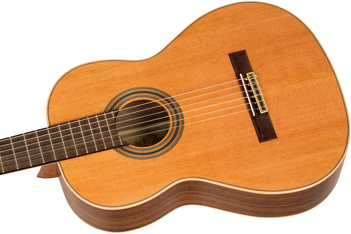 Traditional 4/4 6 LH + Pro Gig Bag