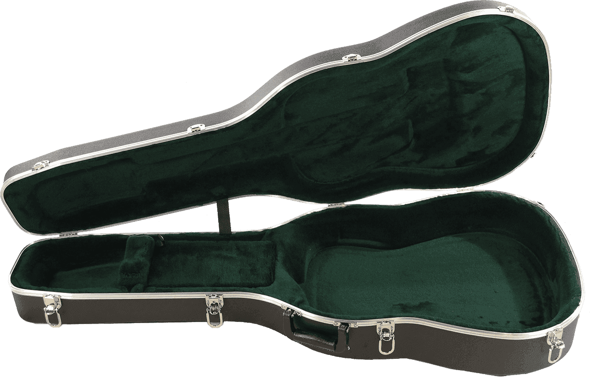 Etui Dreadnought 14 Bünde