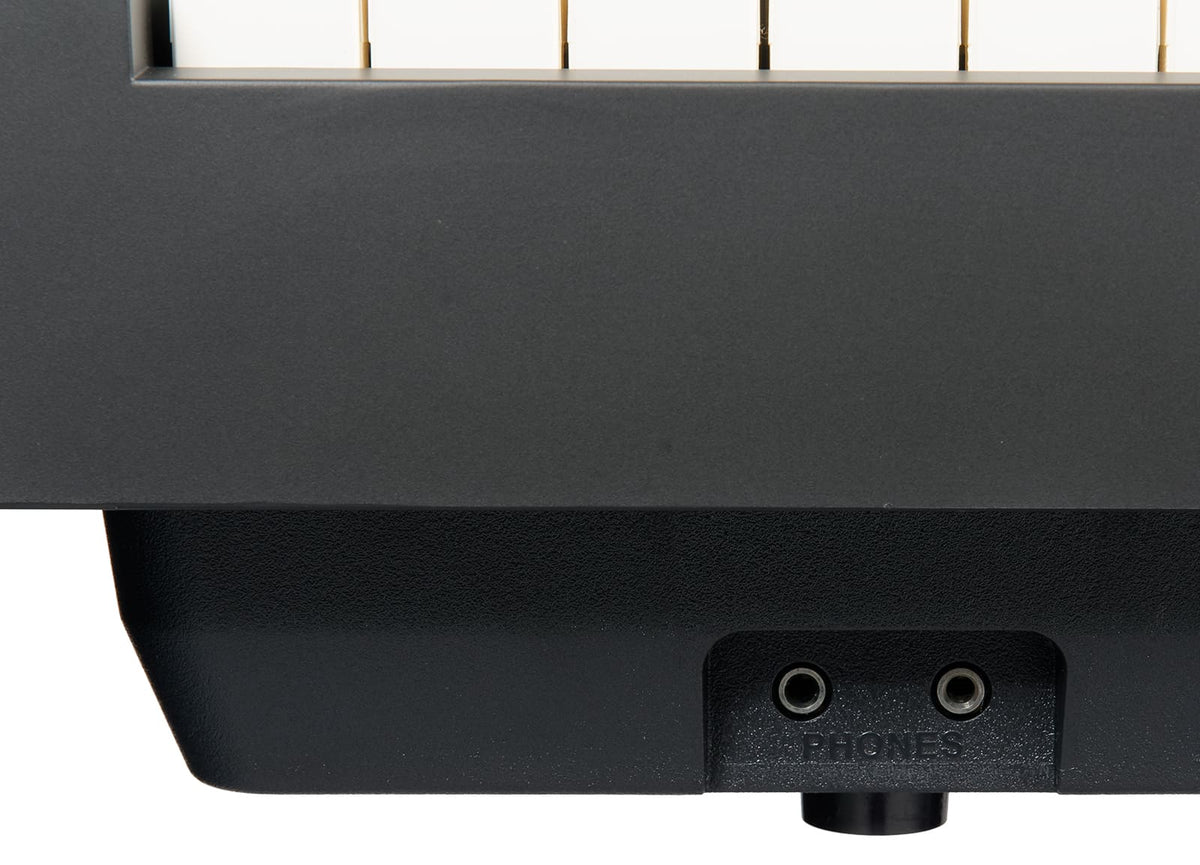 XP2 Noir