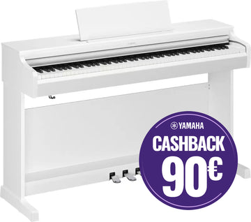 YDP-166 White