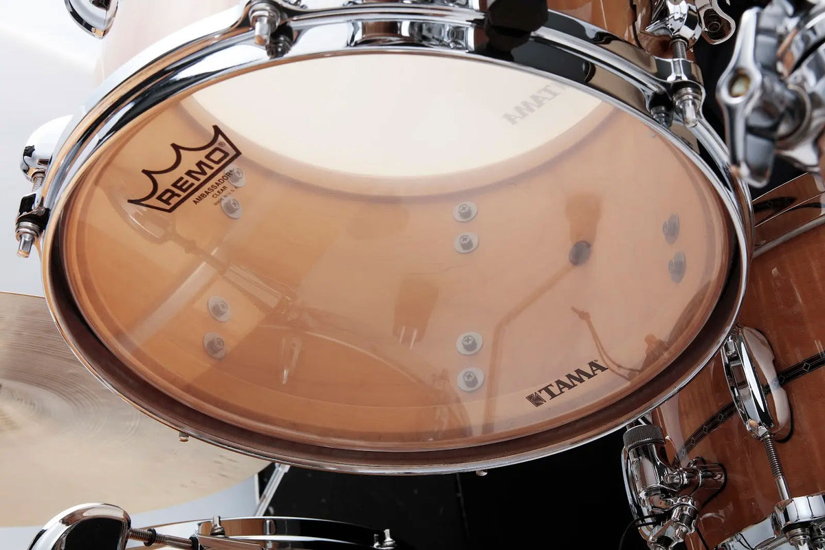 STAR Maple Fusion 20 Hochglanz Natur Riegelahorn