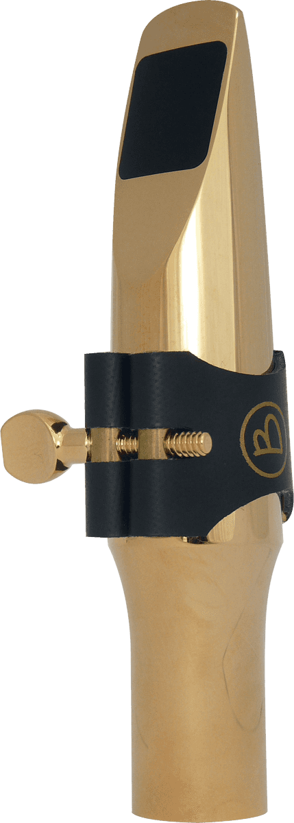 Metallmundstück J31TG - Tenor
