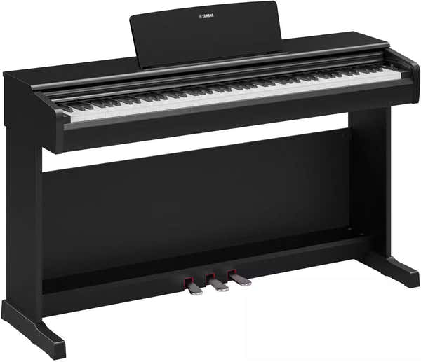 YDP-146 Black