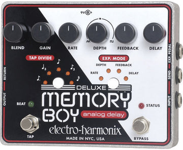 DELUXE MEMORY BOY - DELAY