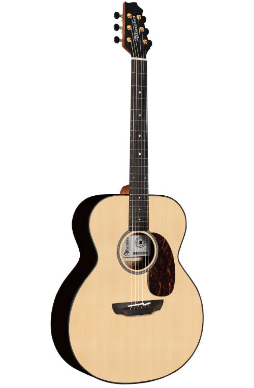 Conservatory AJ-SM E9 + gigbag 9739