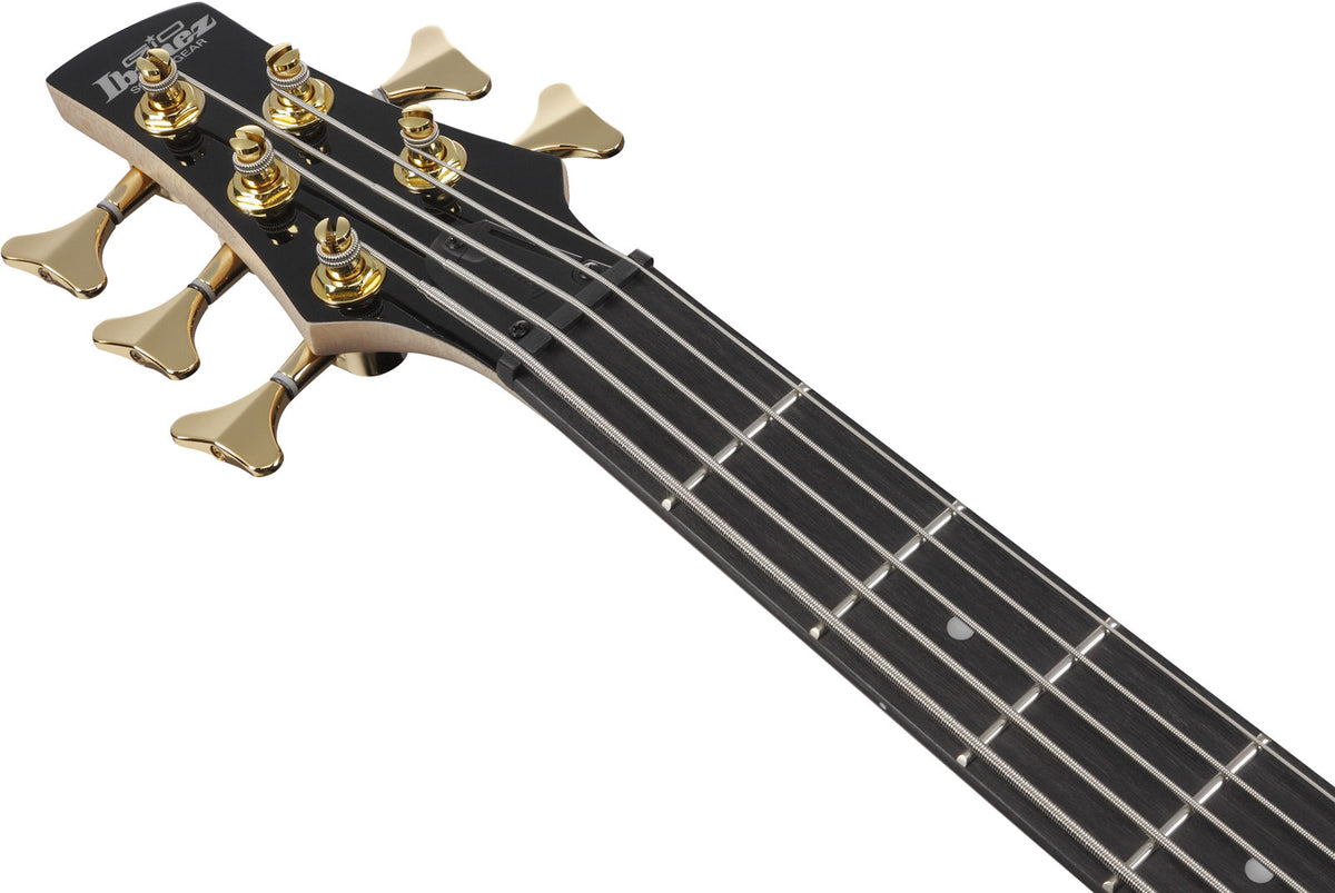 GSR205PCTPB Transparent Pale Black Burst