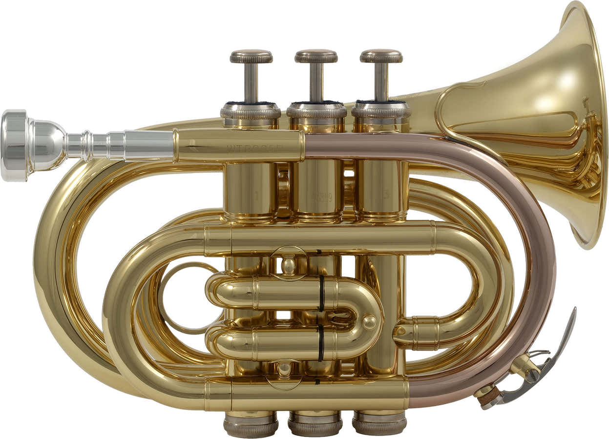 WTP200P - Si B Verni