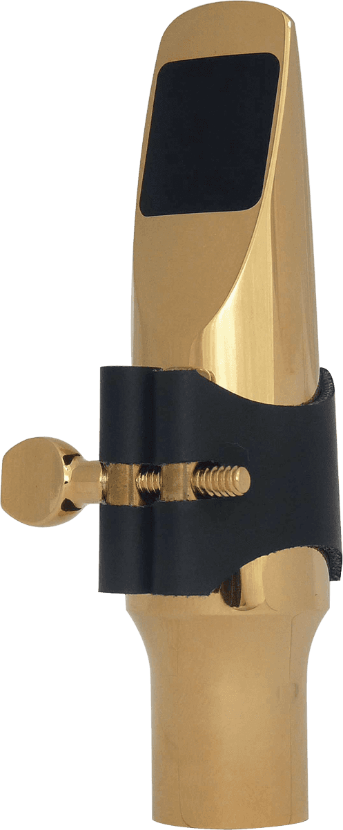Bocchino in Metallo J21AG - Alto