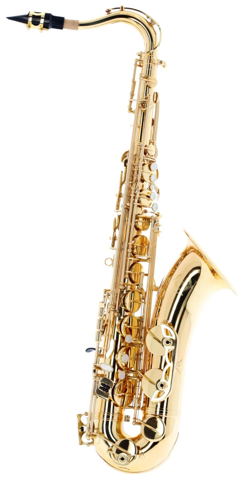 Woodbrass WST100 - Tenore Sib Verniciato