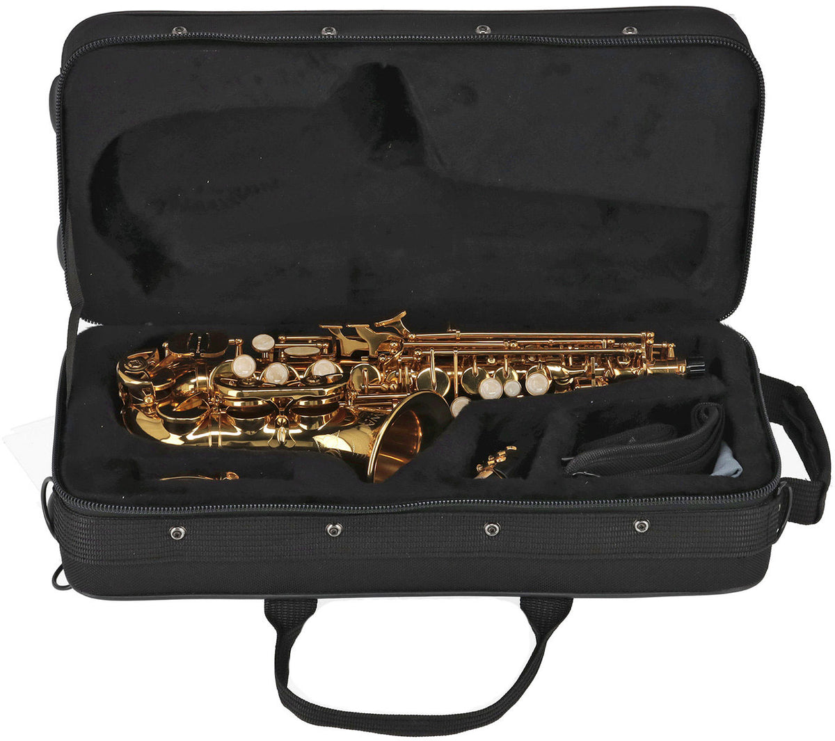 Ambition SC650 Sib Verni